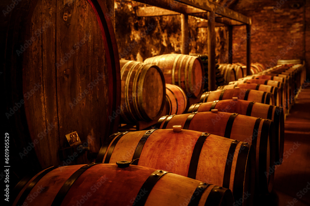 Wine cellar with oak barrels.