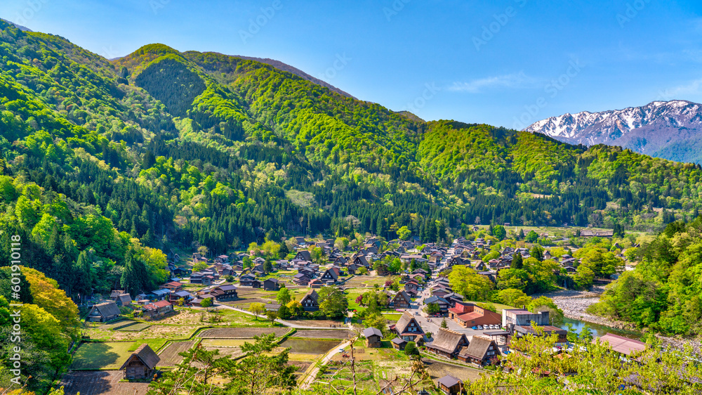 Aerial view of the Historical Village of Shirakawa-go, Gifu, Japan - World heritage site 