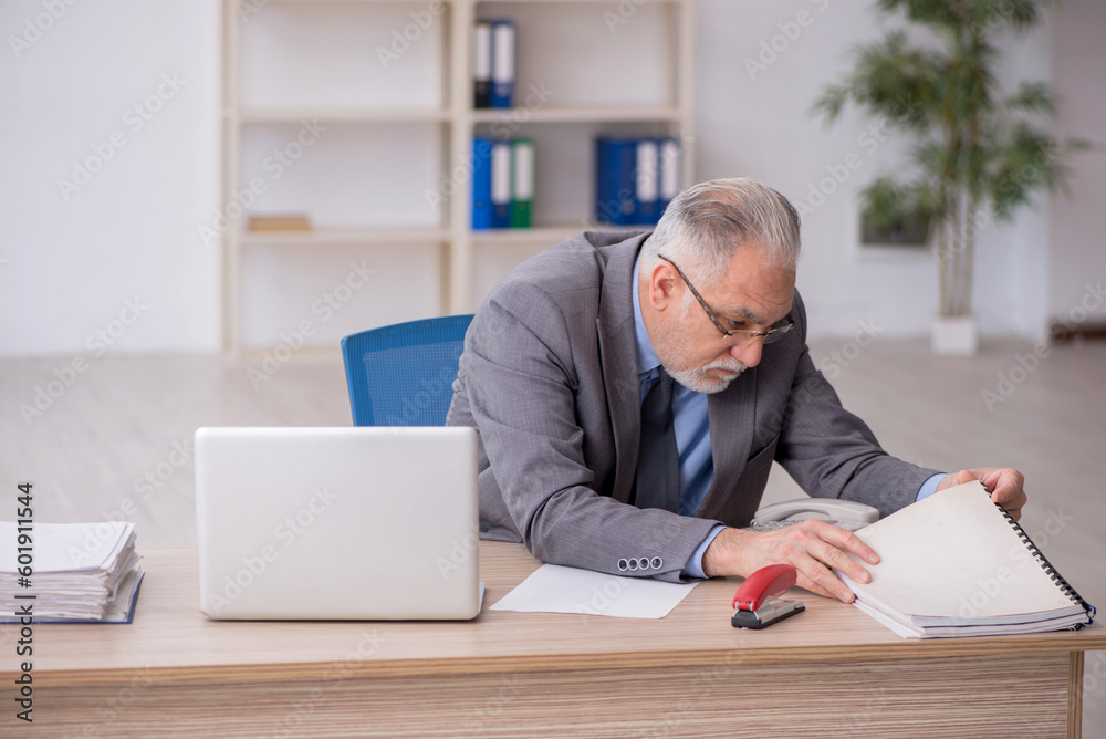 Old male employee working in the office Old male employee working in the office