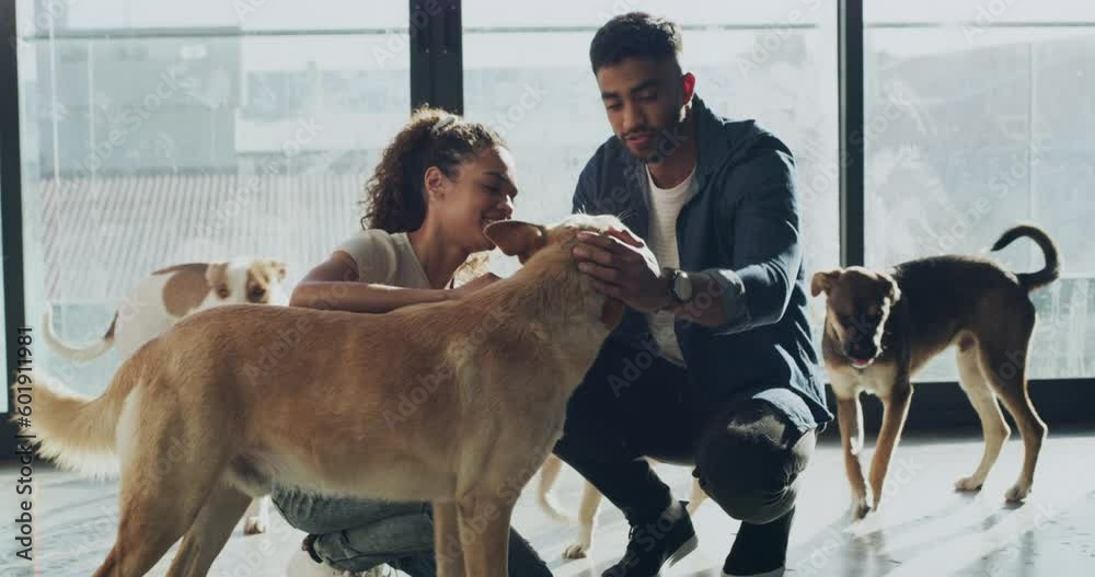 Adoption, animal shelter and a couple hugging a puppy at a rescue center for charity or welfare together. Pet, love or empathy with a man and woman adopting a young dog from a community kennel