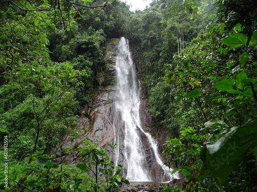waterfall in the forest