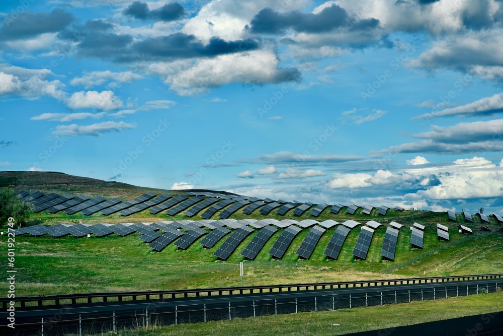 a field of solar panels 