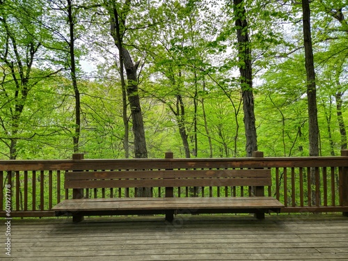 Highbanks Metro Park Wooden Bench Against Backdrop of Spring Trees
