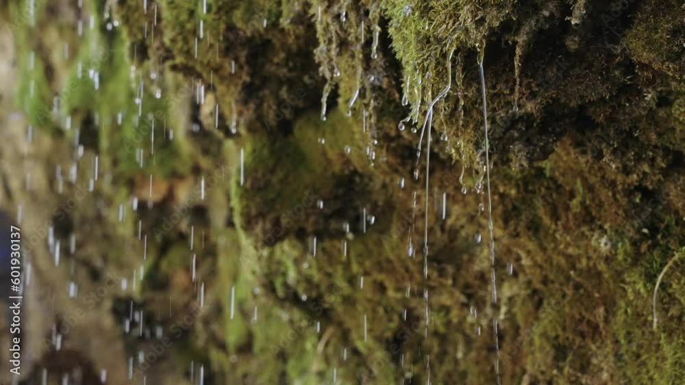 Water droplets dripping from moss covered rocks in slow motion, close up Water droplets dripping from moss covered rocks in slow motion, close up