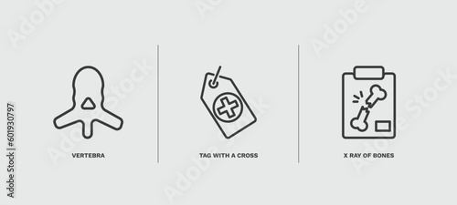 set of medical and healthcare thin line icons. medical and healthcare outline icons included vertebra, tag with a cross, x ray of bones vector.