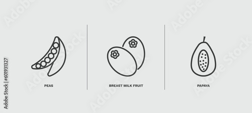 set of vegetables and fruits thin line icons. vegetables and fruits outline icons included peas, breast milk fruit, papaya vector.