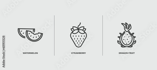 set of vegetables and fruits thin line icons. vegetables and fruits outline icons included watermelon, strawberry, dragon fruit vector.