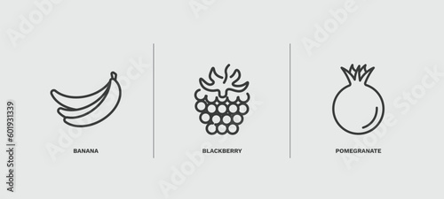 set of vegetables and fruits thin line icons. vegetables and fruits outline icons included banana, blackberry, pomegranate vector.