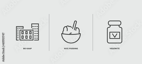 set of culture and civilization thin line icons. culture and civilization outline icons included bo kaap, rice pudding, vegemite vector.