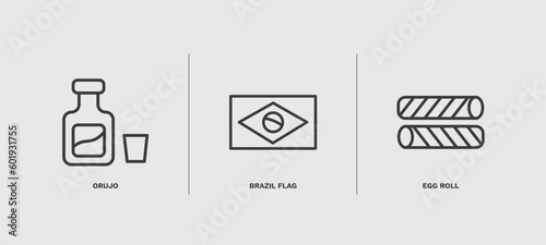 set of culture and civilization thin line icons. culture and civilization outline icons included orujo, brazil flag, egg roll vector.