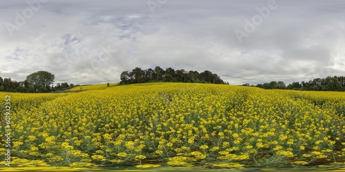 Photo of a scenic field of vibrant yellow flowers under a dramatic cloudy sky in immersive 360° view photo