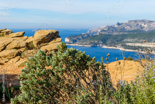 Fototapeta Naklejka Na Ścianę i Meble -  Vue sur la mer méditerranée, depuis la Route des Crêtes entre Marseille et Cassis