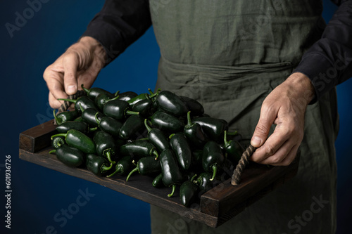 Black Jalapeno pepperson wooden tray in hands of farmer. Harvest of fresh hot black ripe mexican peppers. Bright spices. Dark blue background. Front view. Copy space. 