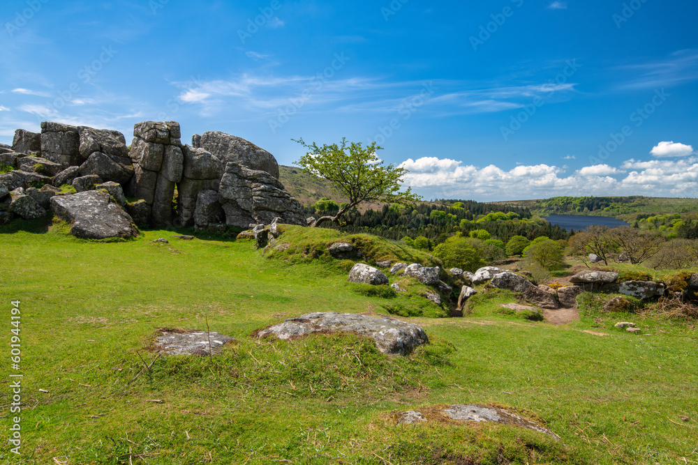 Down Tor, Dartmoor.