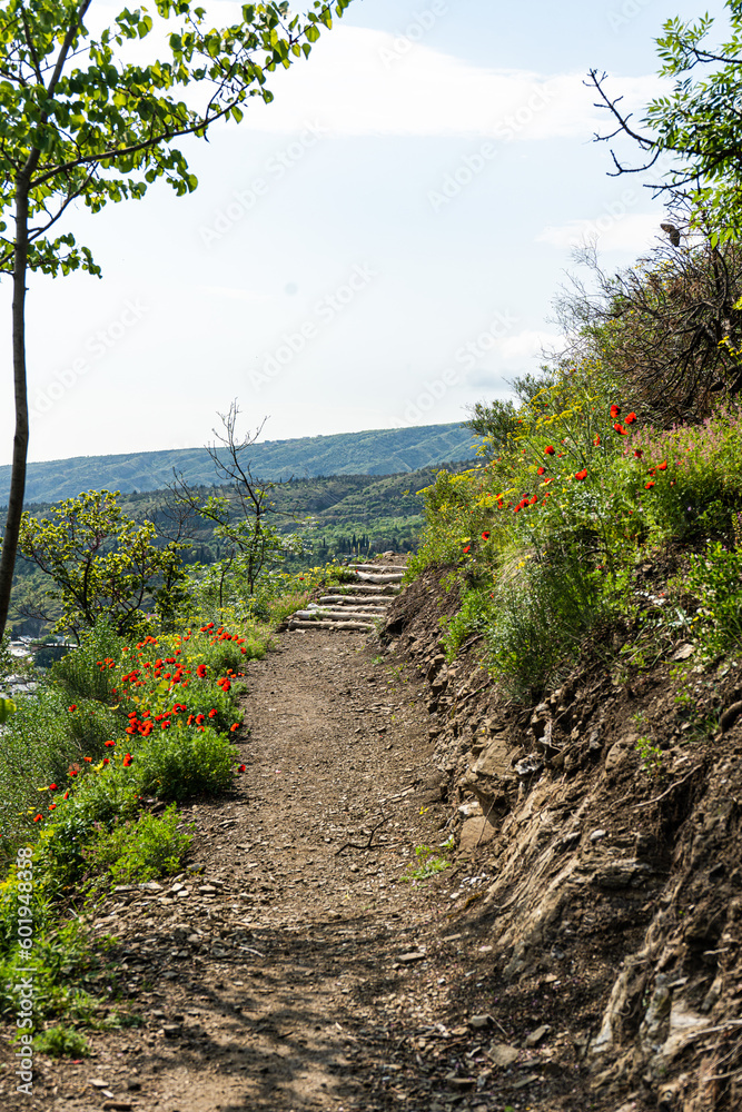 Hike path on the slope of Mtatsminda mount Hike path on the slope of Mtatsminda mount