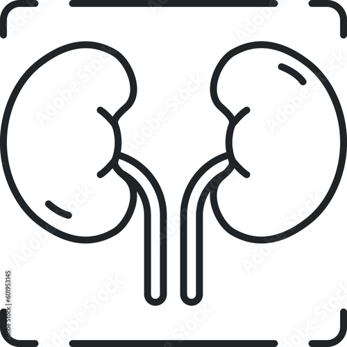 kidneyline icon