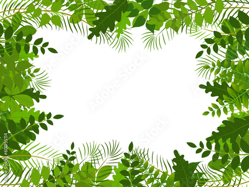 Fototapeta Naklejka Na Ścianę i Meble -  tropical jungle with leaves background