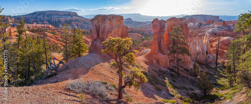 Bryce Canyon National Park in the early morning, Utah.