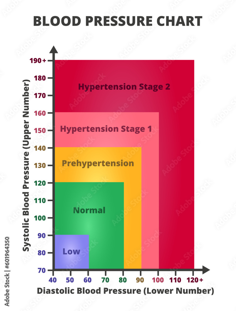 Vector infographic of blood pressure chart or blood pressure management