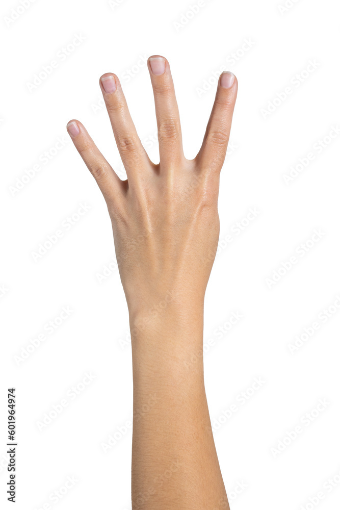 Woman hand counting isolated on white background, with clipping path. Four fingers. Full Depth of field. Focus stacking. PNG Woman hand counting isolated on white background, with clipping path. Four fingers. Full Depth of field. Focus stacking. PNG