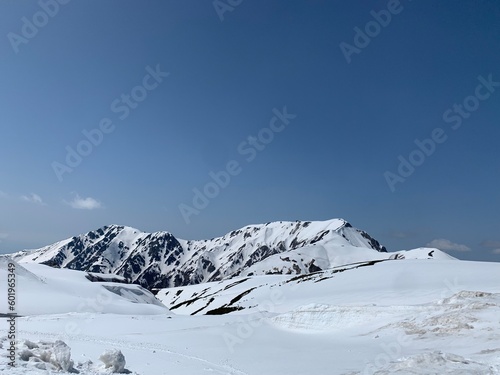 立山黒部アルペンルート室堂から見る立山連峰  © 絵理 川口