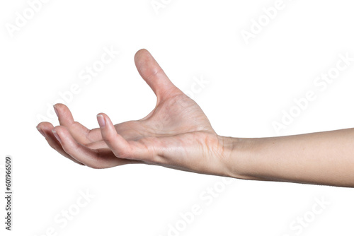 Woman hand shows open palm isolated on white background, with clipping path.  Five fingers. Full Depth of field. Focus stacking. PNG