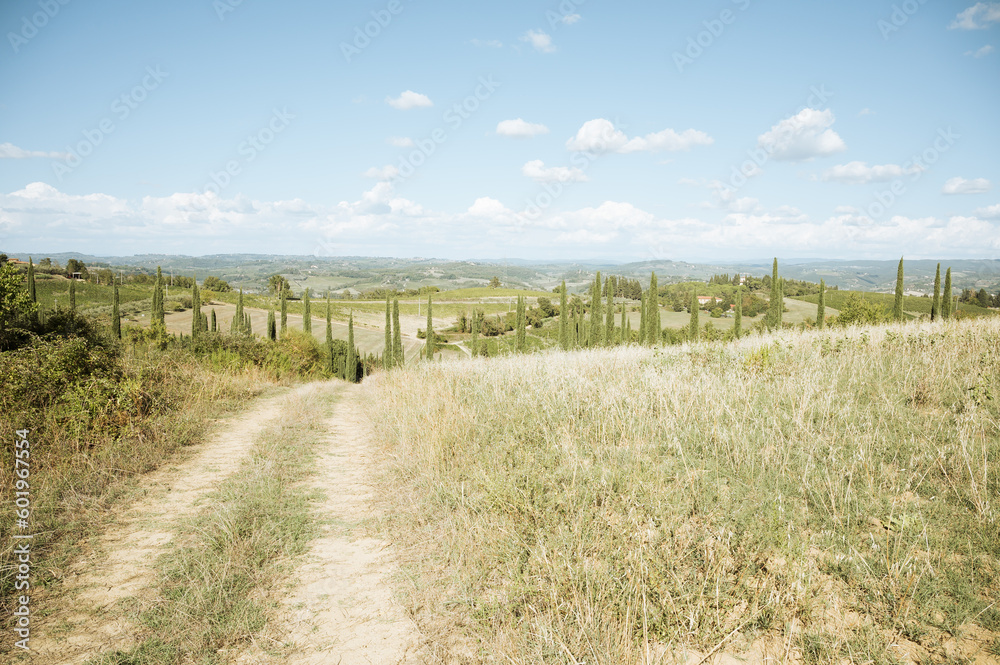 a landscape of Tuscany hills on a sunny day