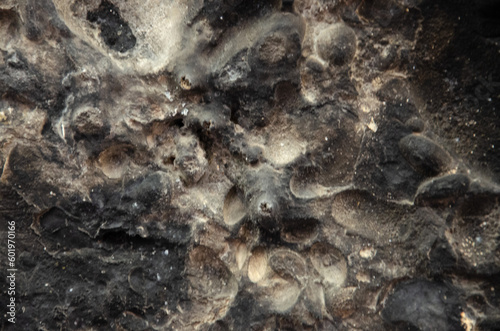 Texture of a stone