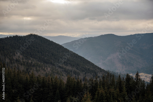 Carpathians. Ukraine. Mountain landscape. Winter Carpathians 2023 without snow