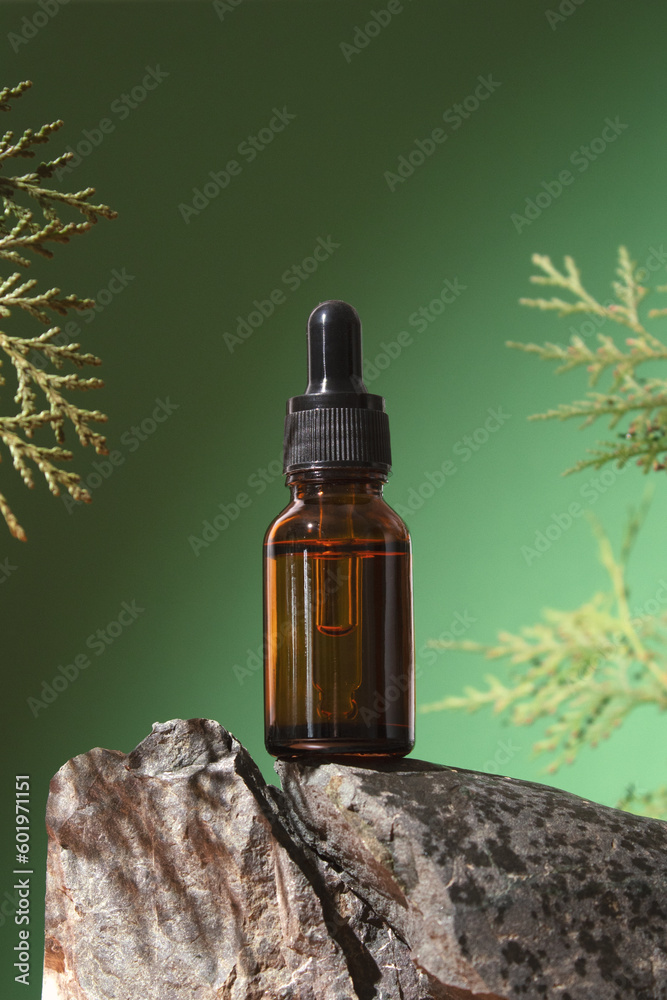 Glass dropper bottle with cosmetic oil, essential or serum on green background with thuja branches. SPA natural organic cosmetics packaging design. Glass dropper bottle with cosmetic oil, essential or serum on green background with thuja branches. SPA natural organic cosmetics packaging design.