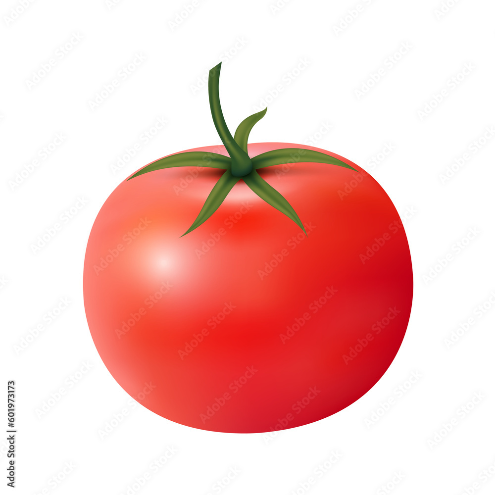 Fresh red tomato whole and slice. 3d illustration realistic transparent isolated. Fresh red tomato whole and slice. 3d illustration realistic transparent isolated.
