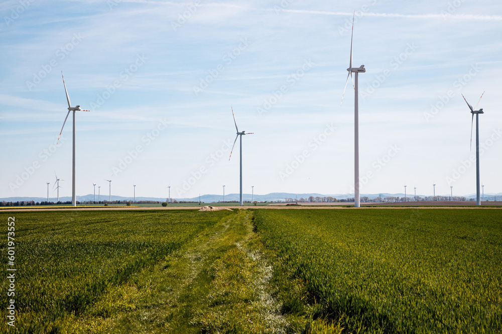 Wiatraki prądotwórcze są rozmieszczone w sposób strategiczny, tworząc imponującą farmę wiatrową, która przyczynia się do zrównoważonego rozwoju energetycznego. Energetyczne giganty wznoszą się dumnie  - obrazy, fototapety, plakaty 