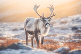 Grazing Reindeer in the Arctic Tundra - Captured by Generative AI
