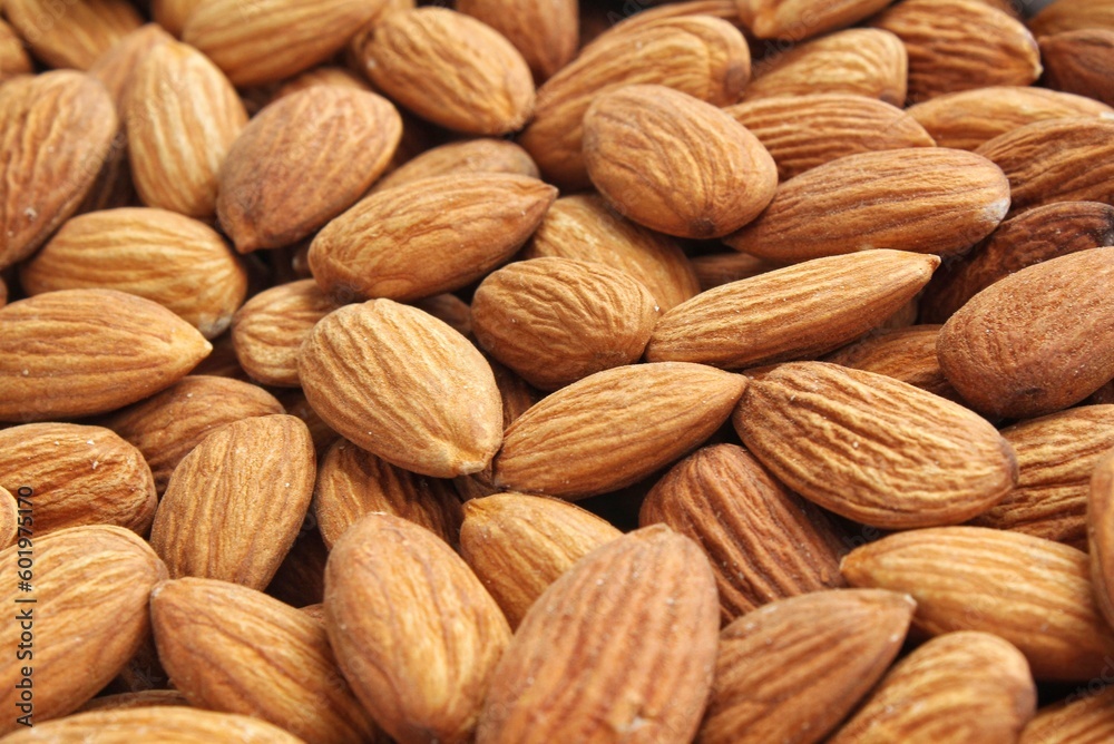 Pile of almond seeds close-up as background. Pile of apricot kernel peeled. Healthy eating diet, nutrition, vegan concept. Protein organic food. Dry snack. National nut day. Copy space for text Pile of almond seeds close-up as background. Pile of apricot kernel peeled. Healthy eating diet, nutrition, vegan concept. Protein organic food. Dry snack. National nut day. Copy space for text