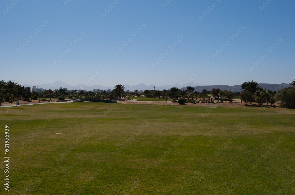 Golf club and fields in El Gouna, Red Sea, Egypt, Africa Golf club and fields in El Gouna, Red Sea, Egypt, Africa