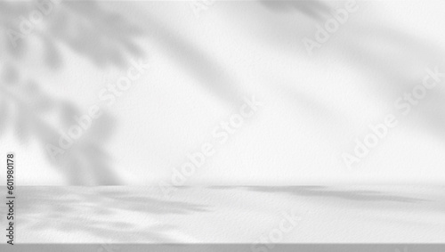 Studio background,Leaves shadow with sunbeam reflection on grey concrete wall background,Empty White Studio Room with abstract light on Cement floor,Backdrop display for product presentation