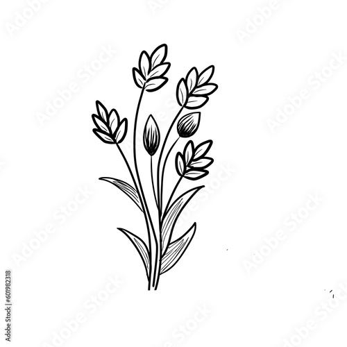 minimalist flower and leaf doodle cute hand-drawn line art on PNG background 