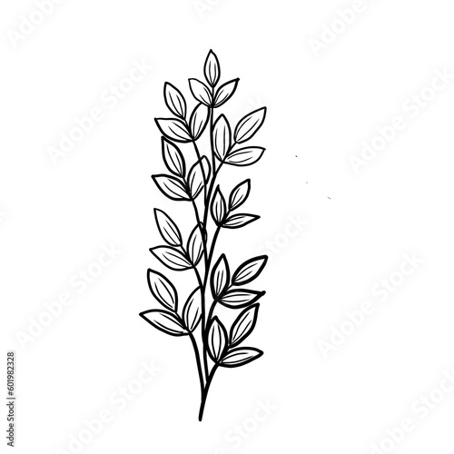Hand-Drawn Line Art of Leaves and Branches on Transparent PNG Background