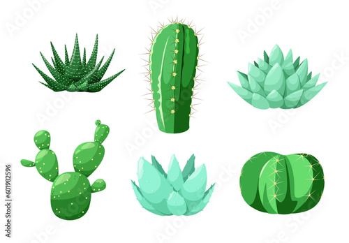 A set of cacti and succulents on a white background. Decorative elements. 