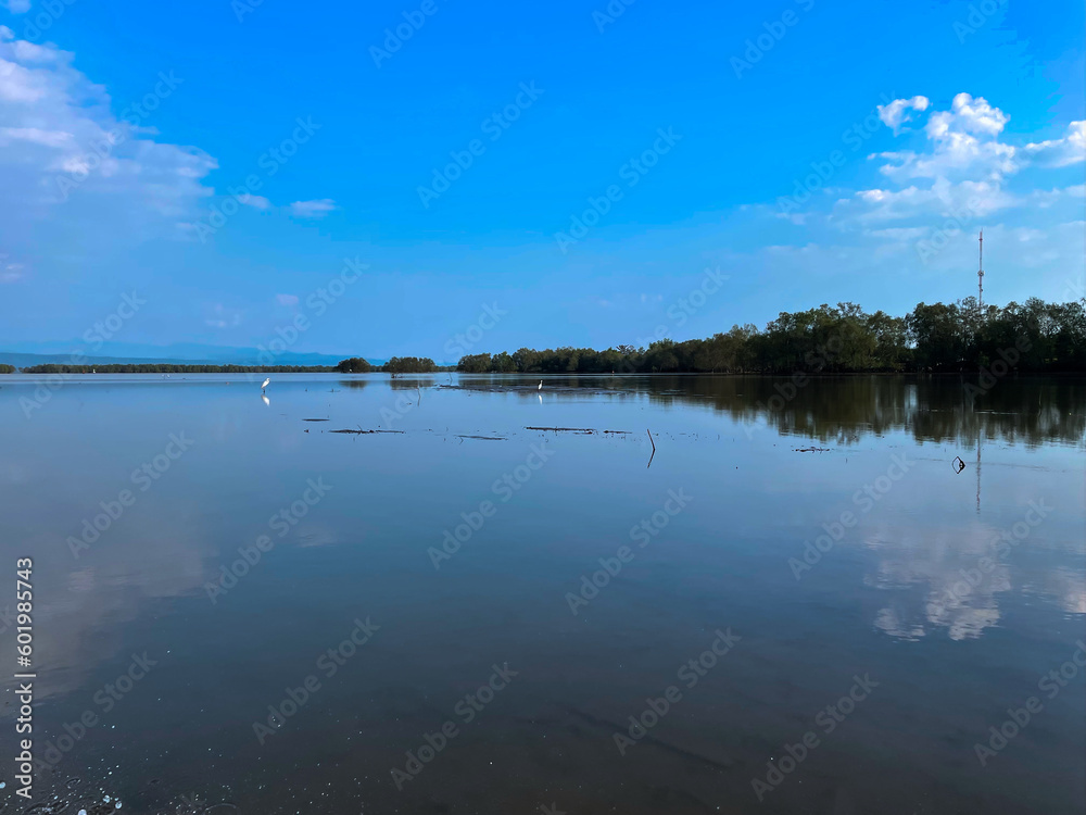 reflection of clouds on the lake with birds.