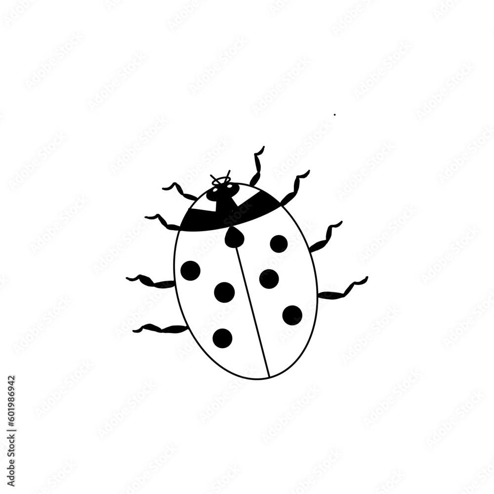 ladybug, sketch of a vector drawing, isolated on a white background. a collection of insects ladybug, sketch of a vector drawing, isolated on a white background. a collection of insects