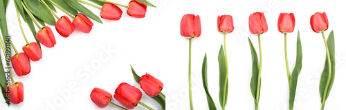 Beautiful red tulips on white background with copy space for text. Top view  flat lay