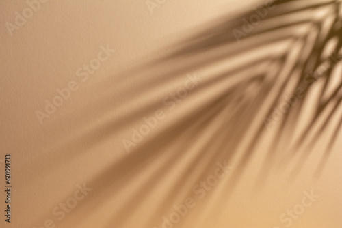 Abstract background of shadows palm leaves on a sand color wall