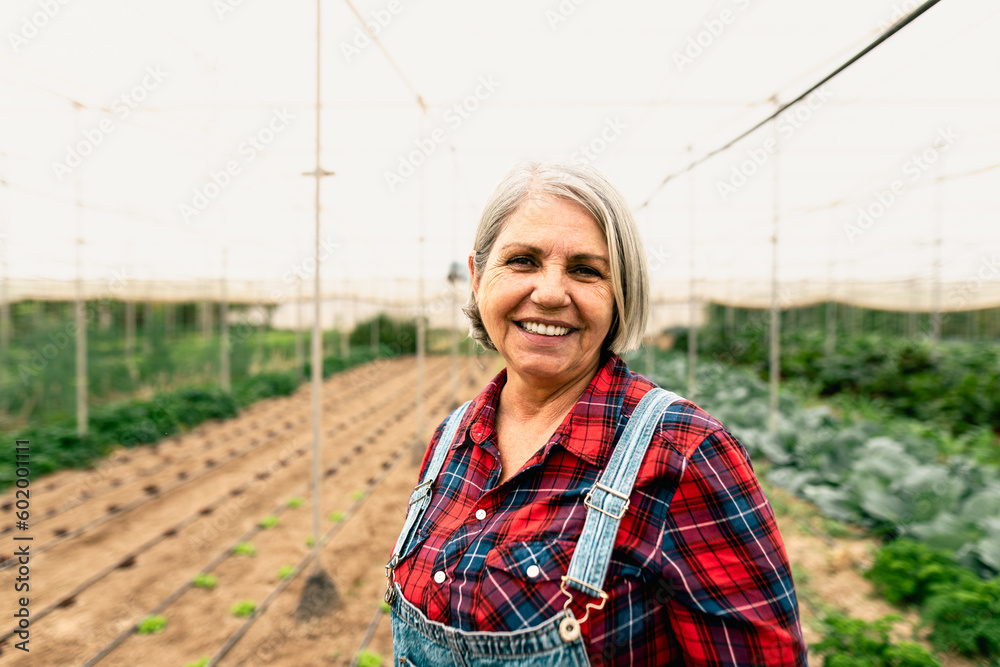 Happy senior farmer smiling at the camera while working inside agricultural greenhouse - Farm people lifestyle concept Happy senior farmer smiling at the camera while working inside agricultural greenhouse - Farm people lifestyle concept
