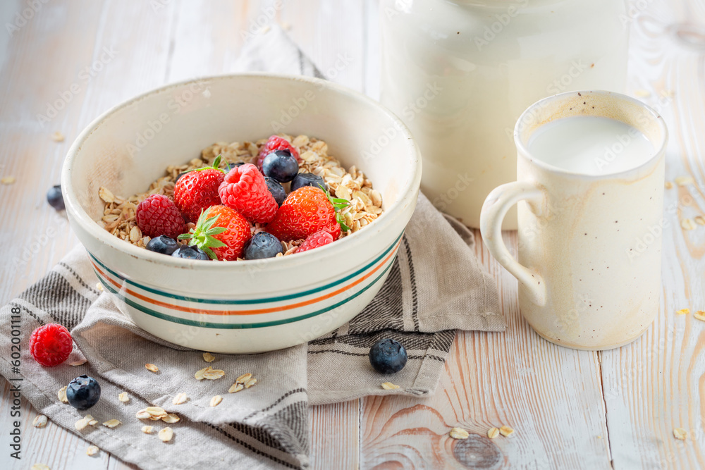 Tasty and healthy oats with and yoghurt and berries. Tasty and healthy oats with and yoghurt and berries.