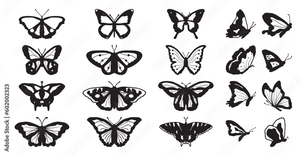 Foto auf Acrylglas Drawing butterflies. Stencil butterfly, moth wings and  flying insects. Butterflies tattoo sketch, fly insect black hand drawn  engraving. Isolated vector illustration icons set 