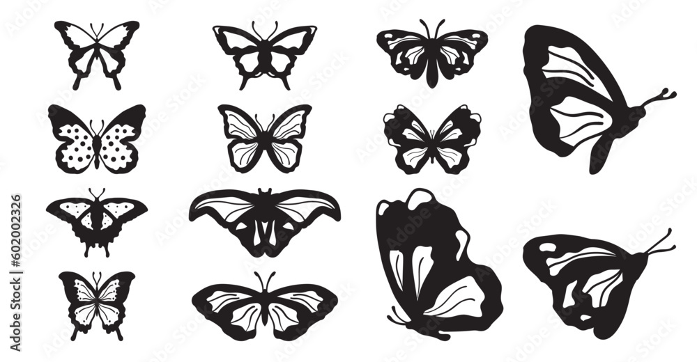 Drawing butterflies. Stencil butterfly, moth wings and flying insects. Butterflies tattoo sketch, fly insect black hand drawn engraving. Isolated vector illustration icons set