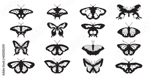 Drawing butterflies. Stencil butterfly, moth wings and flying insects. Butterflies tattoo sketch, fly insect black hand drawn engraving. Isolated vector illustration icons set