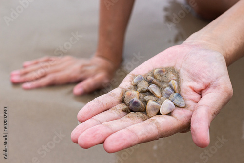 Close-up of sand and little shells in a beachgoer's hand. 