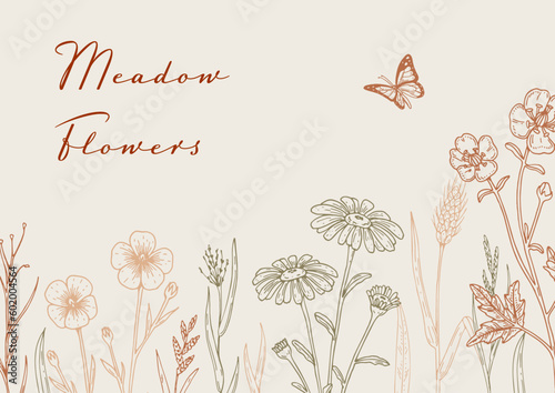 Hand drawn summer horizontal wildflowers design. Vector illustration in sketch style. Meadow flowers aesthetic background